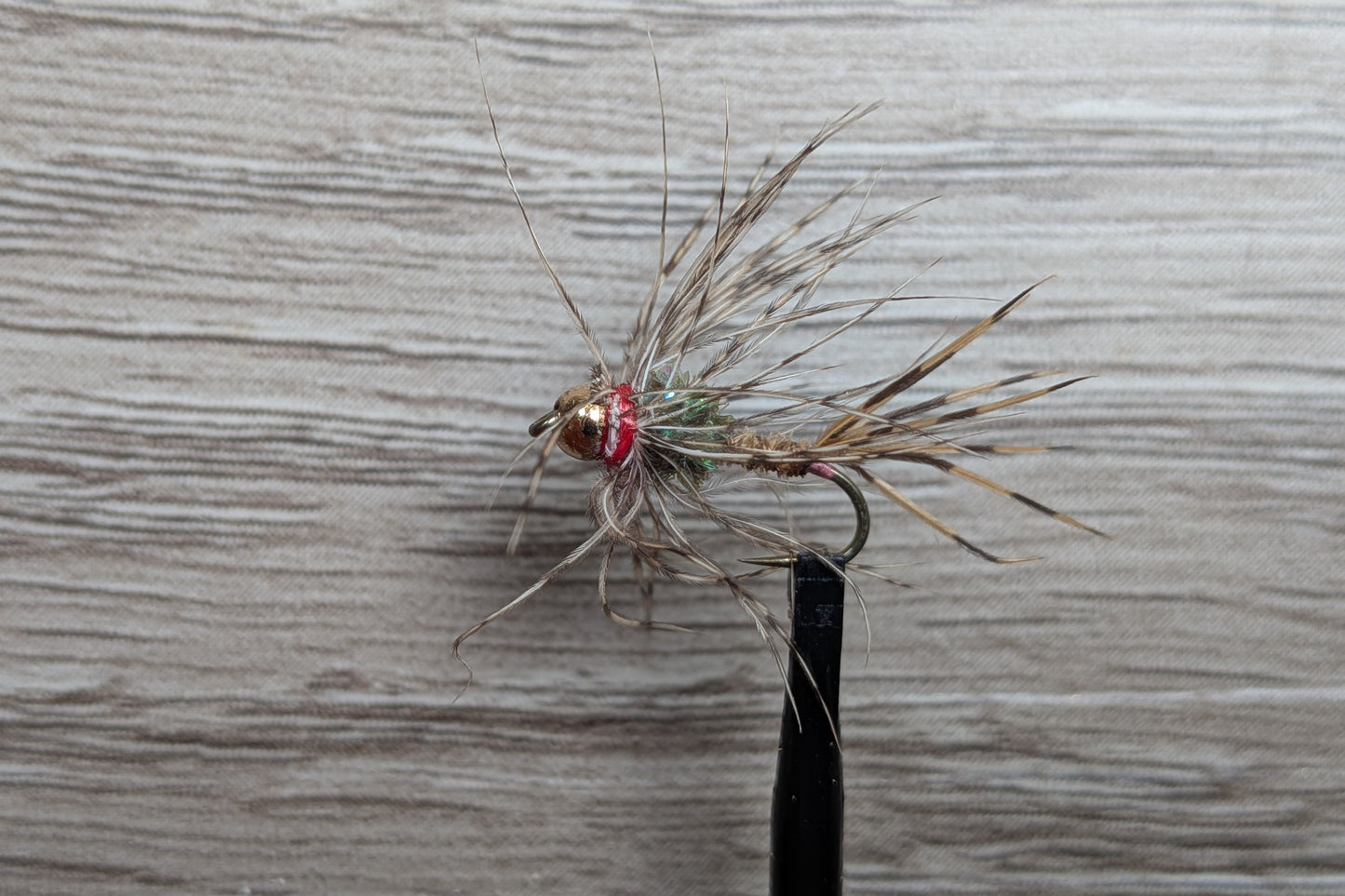 Backswimmer