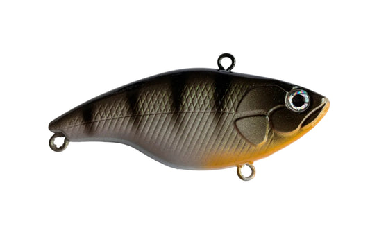Brown Perch