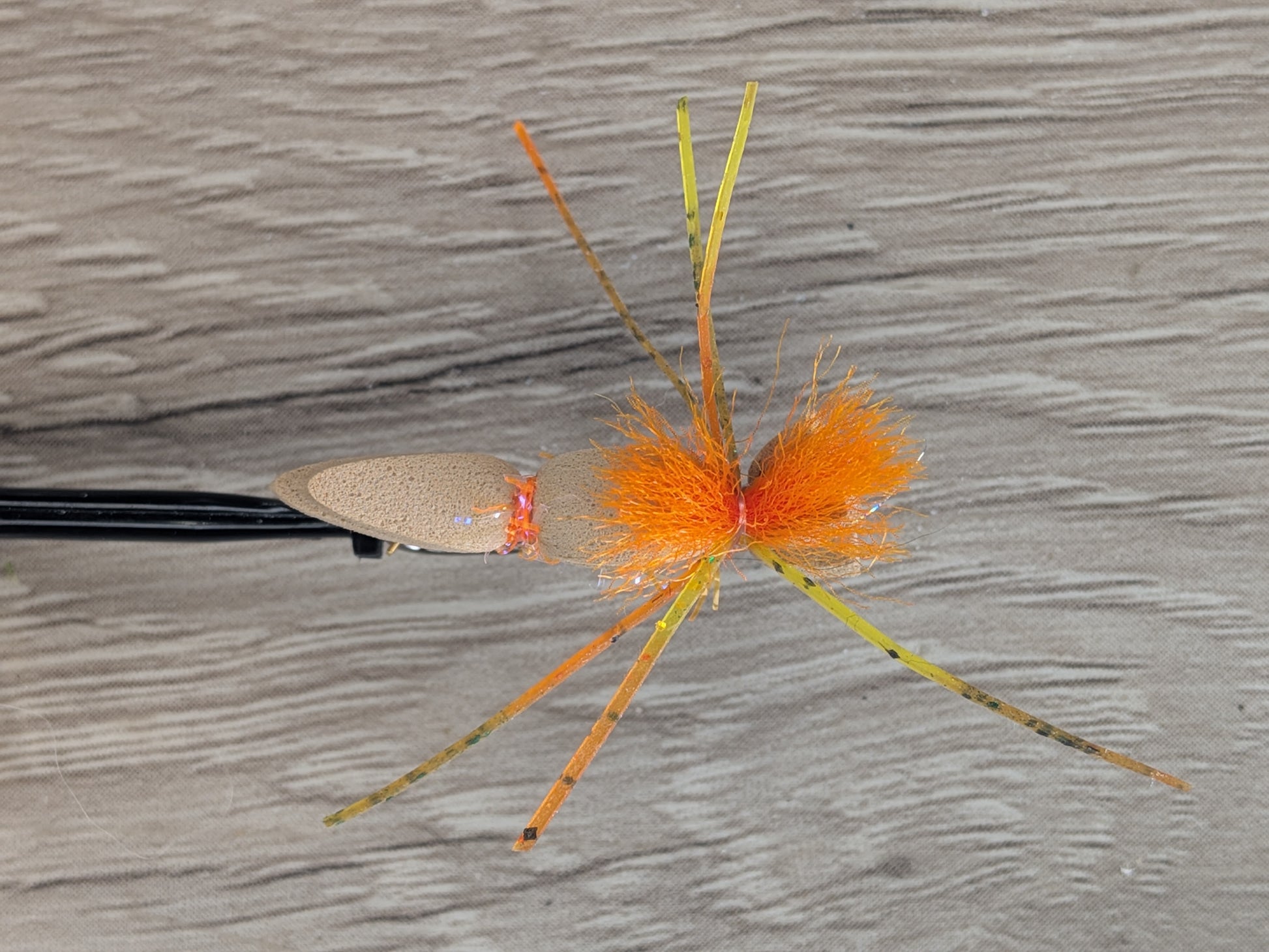 Chernobyl Ant
