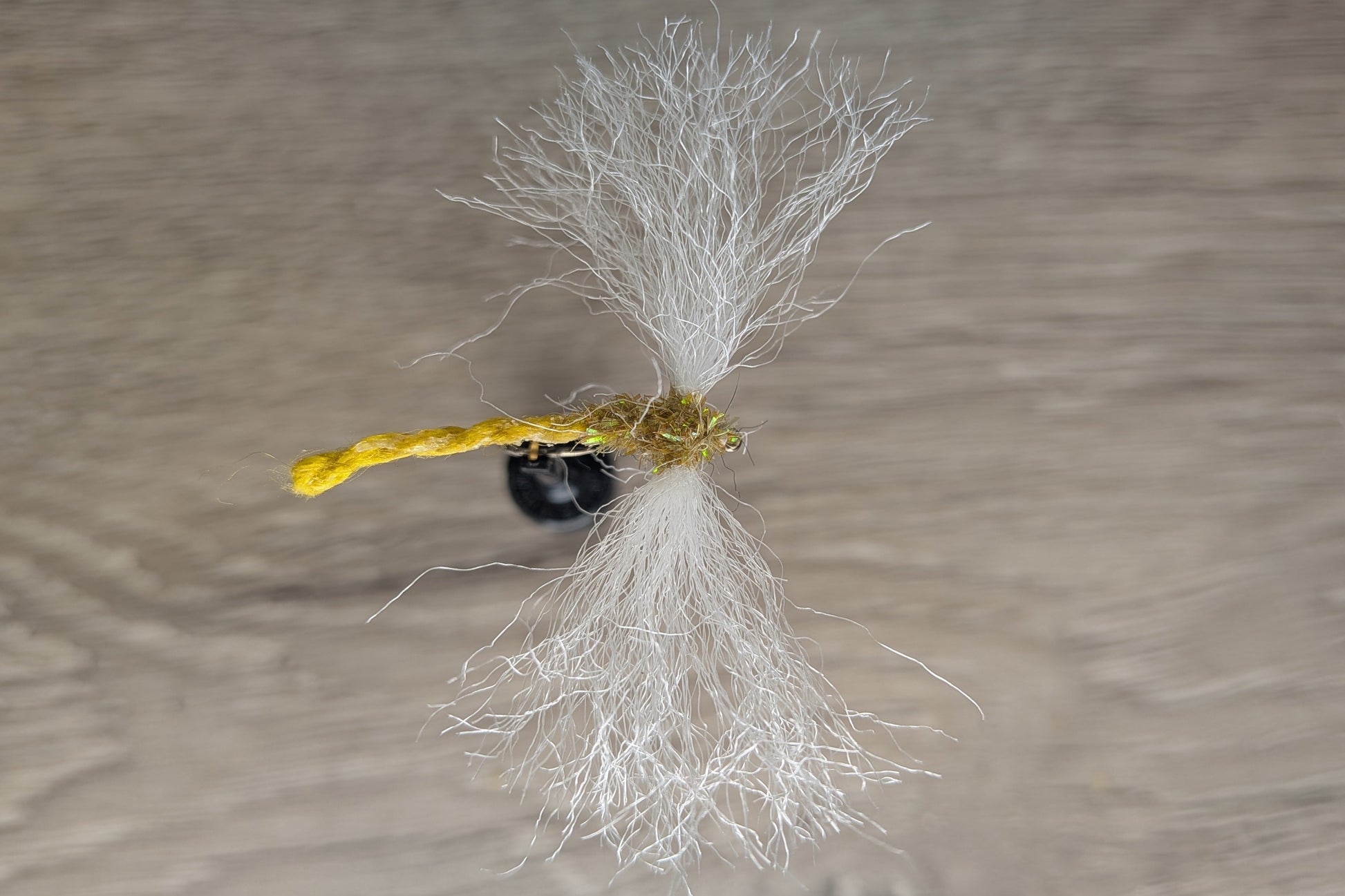 Damsel Fly