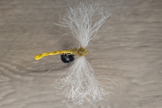 Damsel Fly
