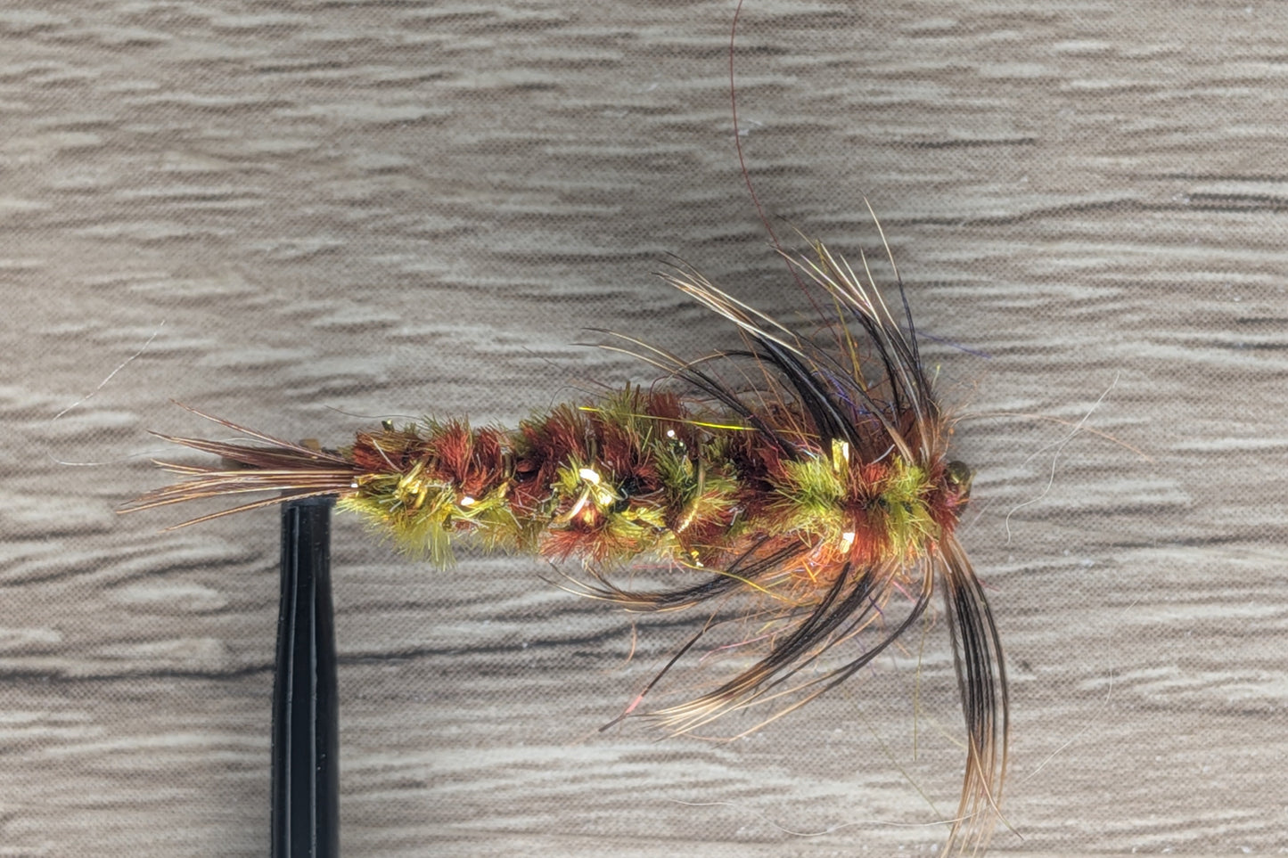 Dragon Fly Nymph