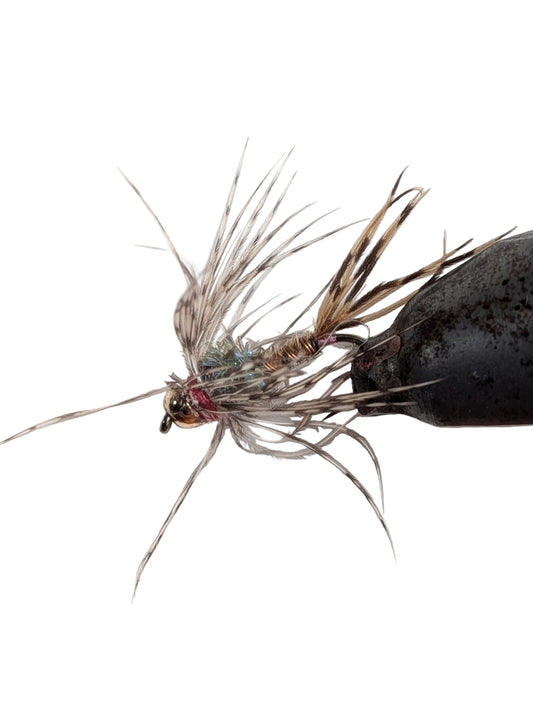 Backswimmer