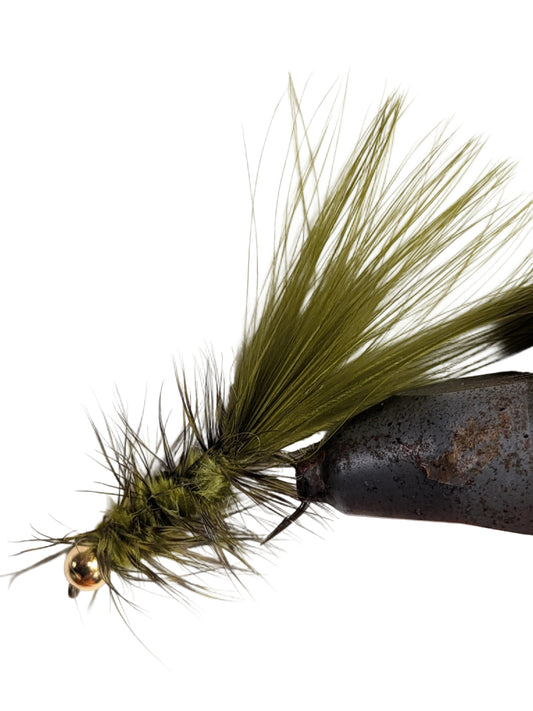 BH Woolly Bugger Olive