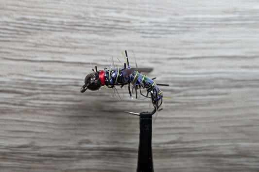 BH Prince Nymph