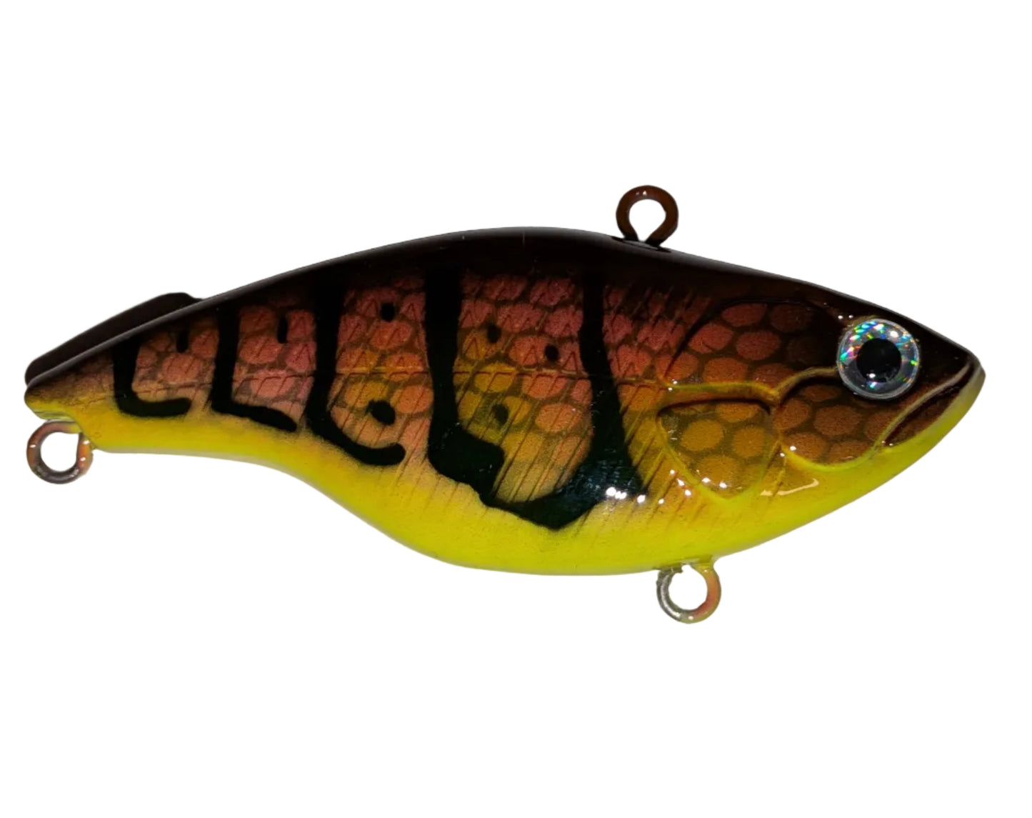 Tiger Perch
